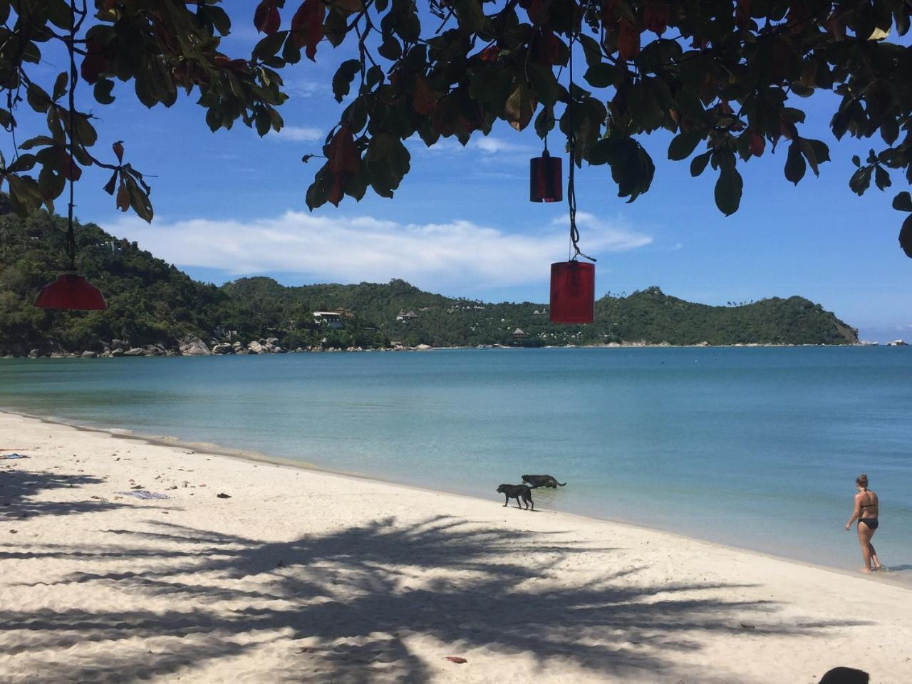 The Hill Village Thong Nai Pan Noi Bagian luar foto
